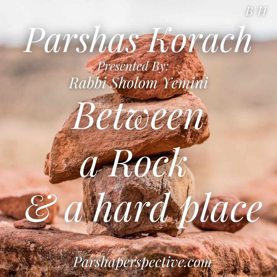 The Parsha Perspective