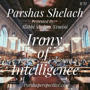 Parshas Shelach, the irony of intelligence.