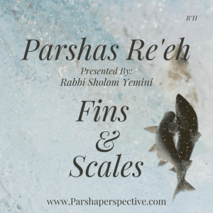 Parshas Re’eh, fins & scales