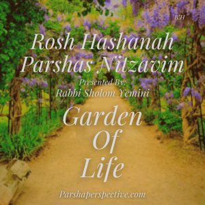 The garden of life, Rosh Hashanah & Nitzavim Perspective