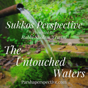 The untouched waters, the Sukkos Perspective