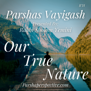 Parshas Vayigash, your true nature