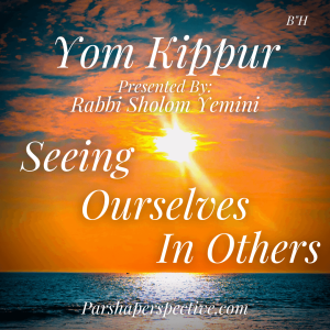 Seeing ourselves in others, the Yom Kippur Perspective