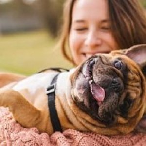 Waynesboro is still coming after your pets