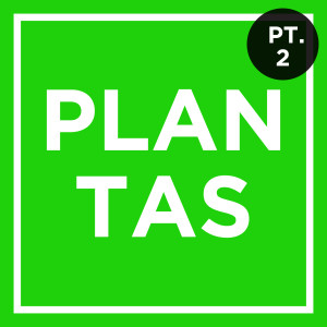 Plantas, com Dário Nemésio - parte 2