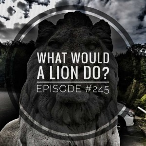 #245 What would a Lion do?