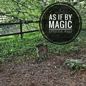 #252 As if by magic