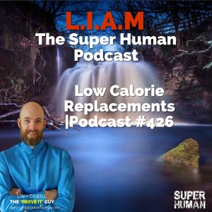 #426 Low Calorie Replacements