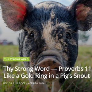 Thy Strong Word — Proverbs 11:16-31: Like a Gold Ring in a Pig’s Snout