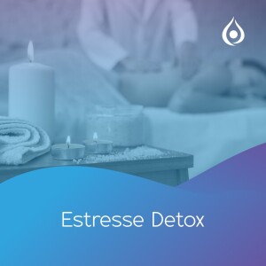 Estresse Detox: Sete Dias para Reduzir o Estresse