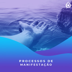 Meditação - Processos de Manifestação