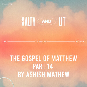 Gospel of Matthew Part 14- Salty and Lit