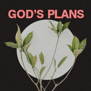 God's Plan | Ashish Mathew | Commission Church