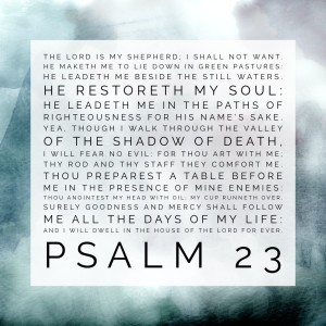 Psalms 23 (Part 1)