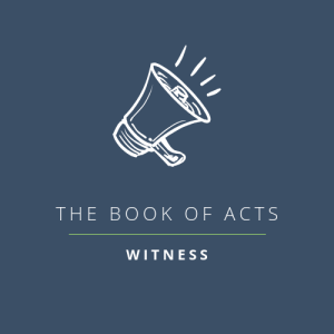 Ordinary Witness (Acts 6:8-7:60)