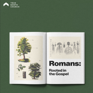 The War Within - Romans 7:7-25