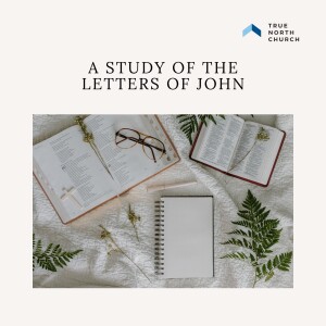 Study of Letters of John (Episode 5): 1 John 2:28-3:24
