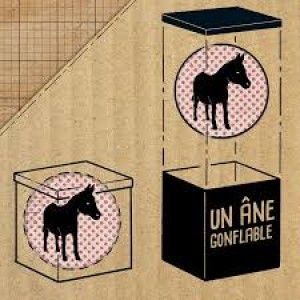 Luc Andre (Un Ane Gonflable) + album reviews from Bibio and Adrian Tonceanu