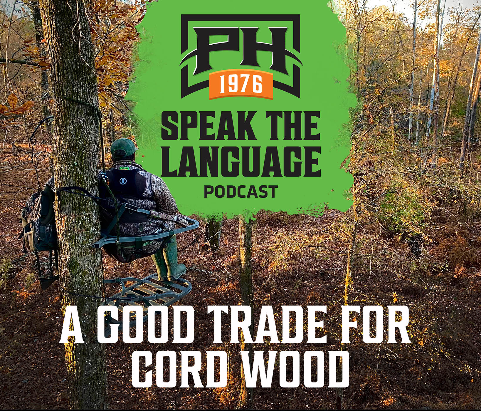 Speak the Language Podcast