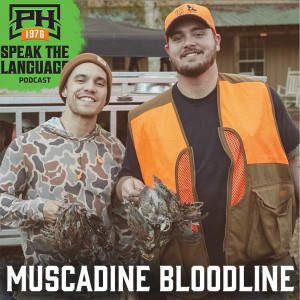 Muscadine Bloodline