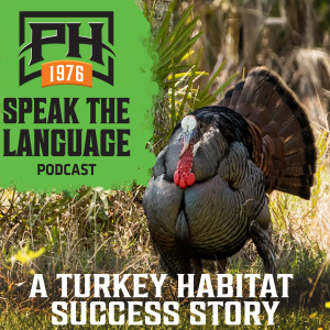 A Turkey Habitat Success Story