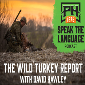 The Wild Turkey Report with David Hawley