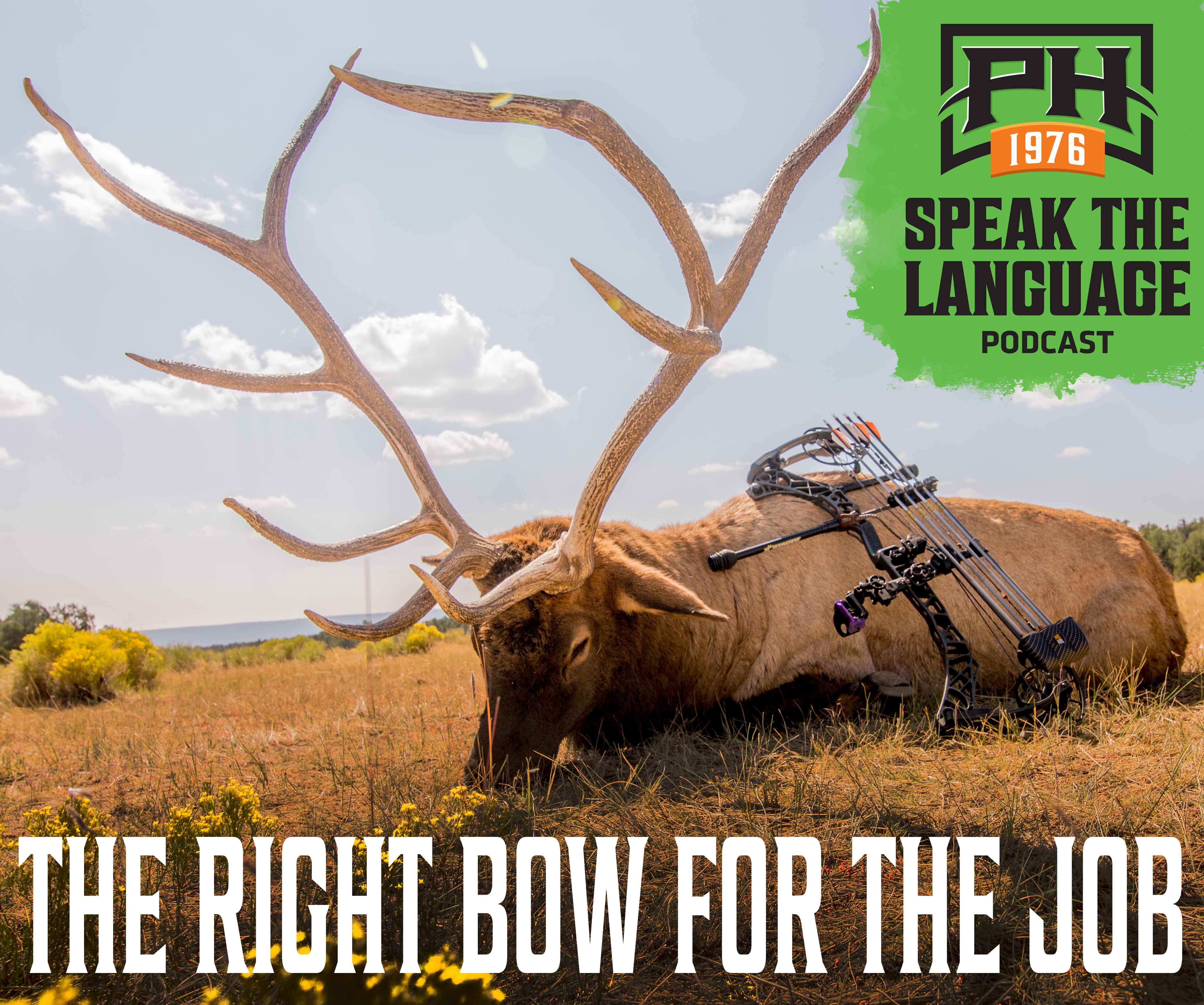 Speak the Language Podcast