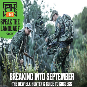 Breaking Into September: The New Elk Hunter's Guide to Success