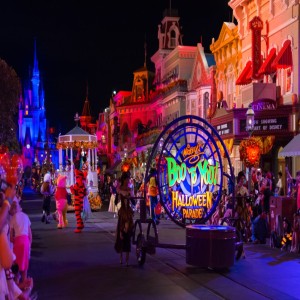 Why You Should Visit Walt Disney World This Fall