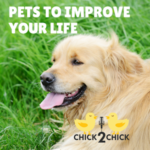 Pets to Improve Your Life