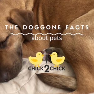 The Doggone Facts About Pets