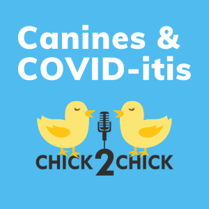 Canines & COVID-itis