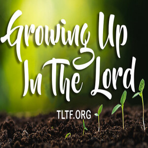 Growing Up In The Lord