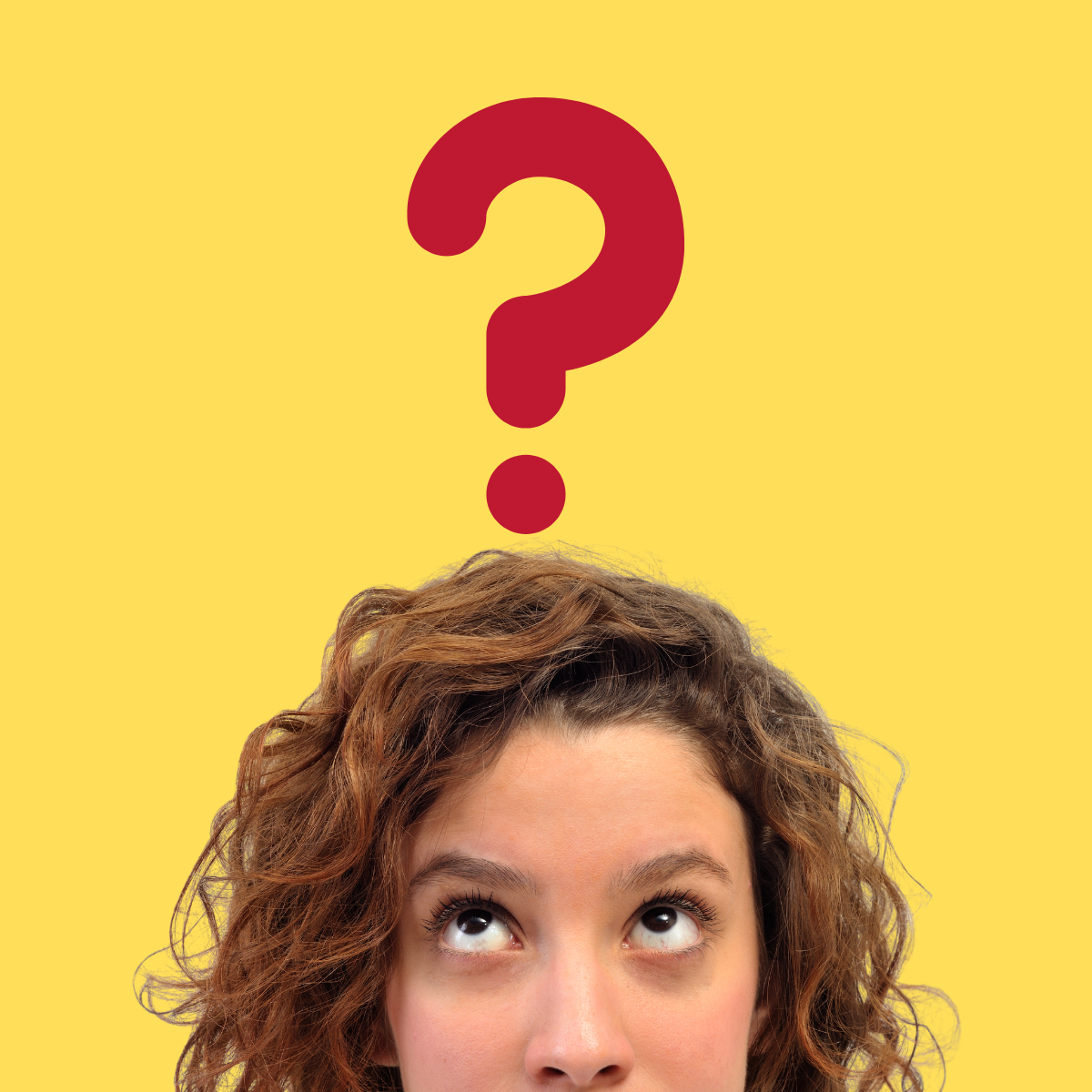 איך תדעו אם אתם רוצים לנהל? אבטיח כיס איך תדעו אם אתם רוצים לנהל?