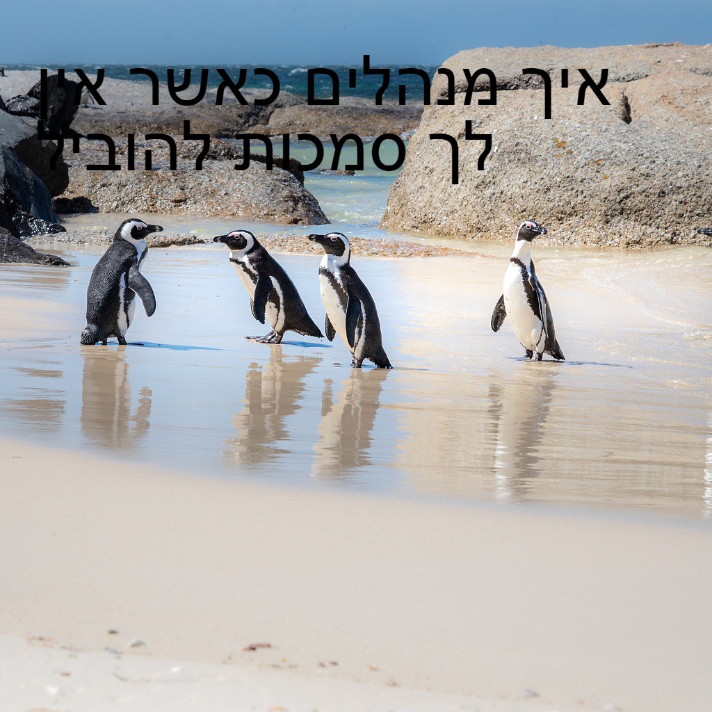 איך מנהלים כאשר אין לך סמכות להוביל אבטיח כיס איך מנהלים כאשר אין לך סמכות להוביל