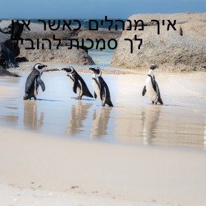 איך מנהלים כאשר אין לך סמכות להוביל