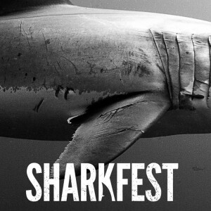 Disney Reveals SHARKFEST 2025 Line Up For Nat Geo, Hulu & Disney+ | Disney Plus News