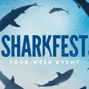 SharkFest 2024 Lineup Announced For National Geographic, Hulu & Disney+