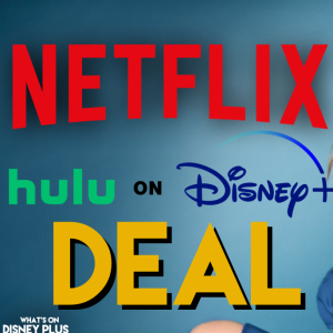 Disney Makes New Deal With Netflix To Share Content | Disney Plus News