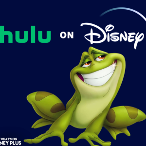 A Combined Disney+ & Hulu Will Leapfrog Netflix On Popularity & Volume