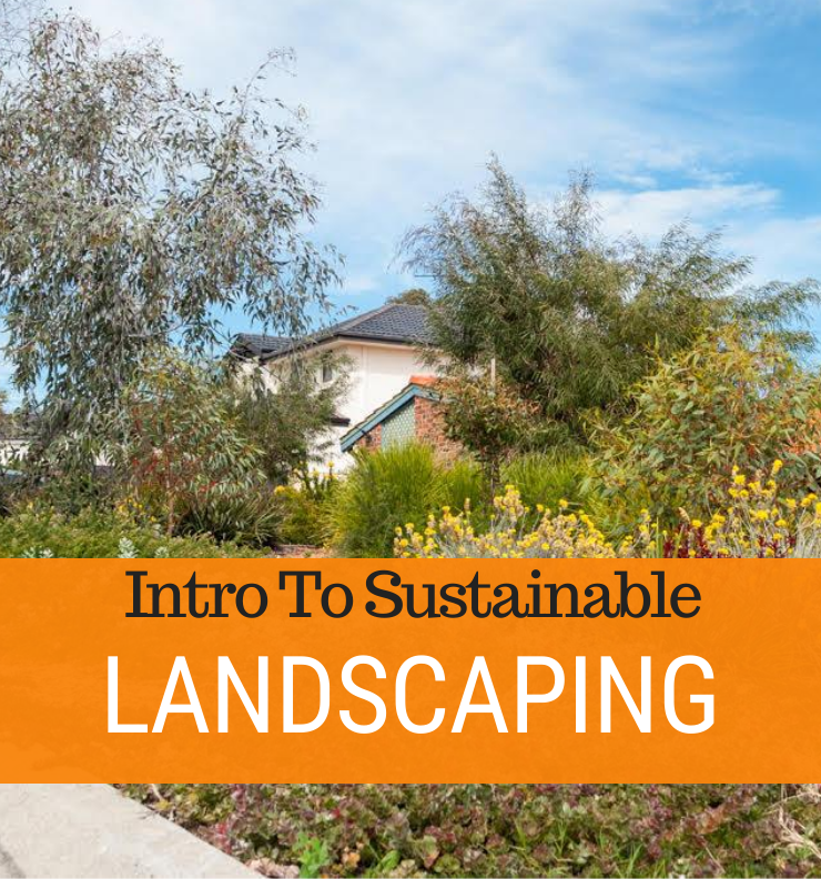 088 - Intro To Sustainable Landscaping