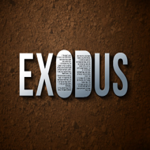 Exodus 7:14 - 10:29 - Ian Proud