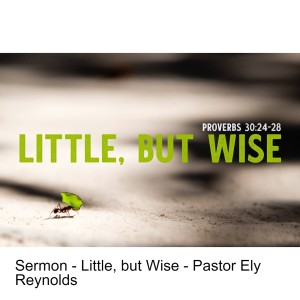 Sermon - Little, but Wise - Pastor Ely Reynolds