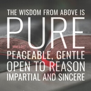 Living a Wise Life