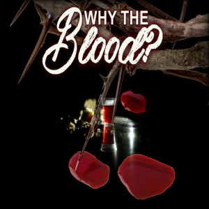 1/15/23 Sunday Message: Why the Blood?