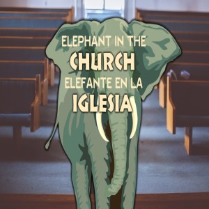 ELEPHANT IN THE CHURCH: THE CHRISTIAN AND POLITICS (MATT. 7:24, ASST)