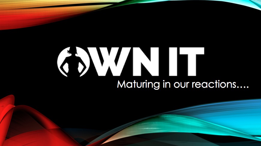 OWN IT: MATURING IN OUR REACTIONS (MARK 4:35-41)