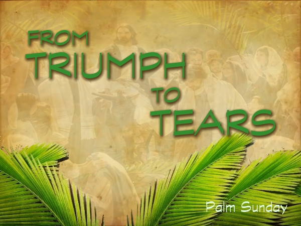 FROM TRIUMPH TO TEARS (Luke 19:29-44)