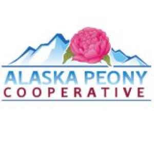 Natchez Glen House Stories Episode 31 Alaska Peony Cooperative with Martha Lojewski