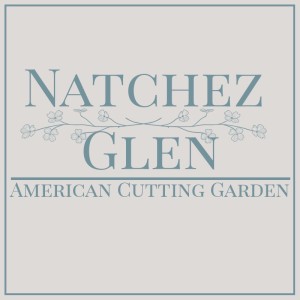 Natchez Glen House Stories 61 - Get Personal